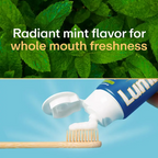 10% Nano Hydroxyapatite Performance Whitening Toothpaste